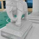 那曲 白麻花岗岩动物异形石雕-大象