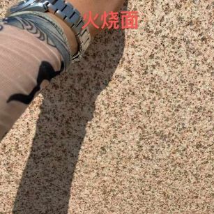 那曲黄金麻火烧面