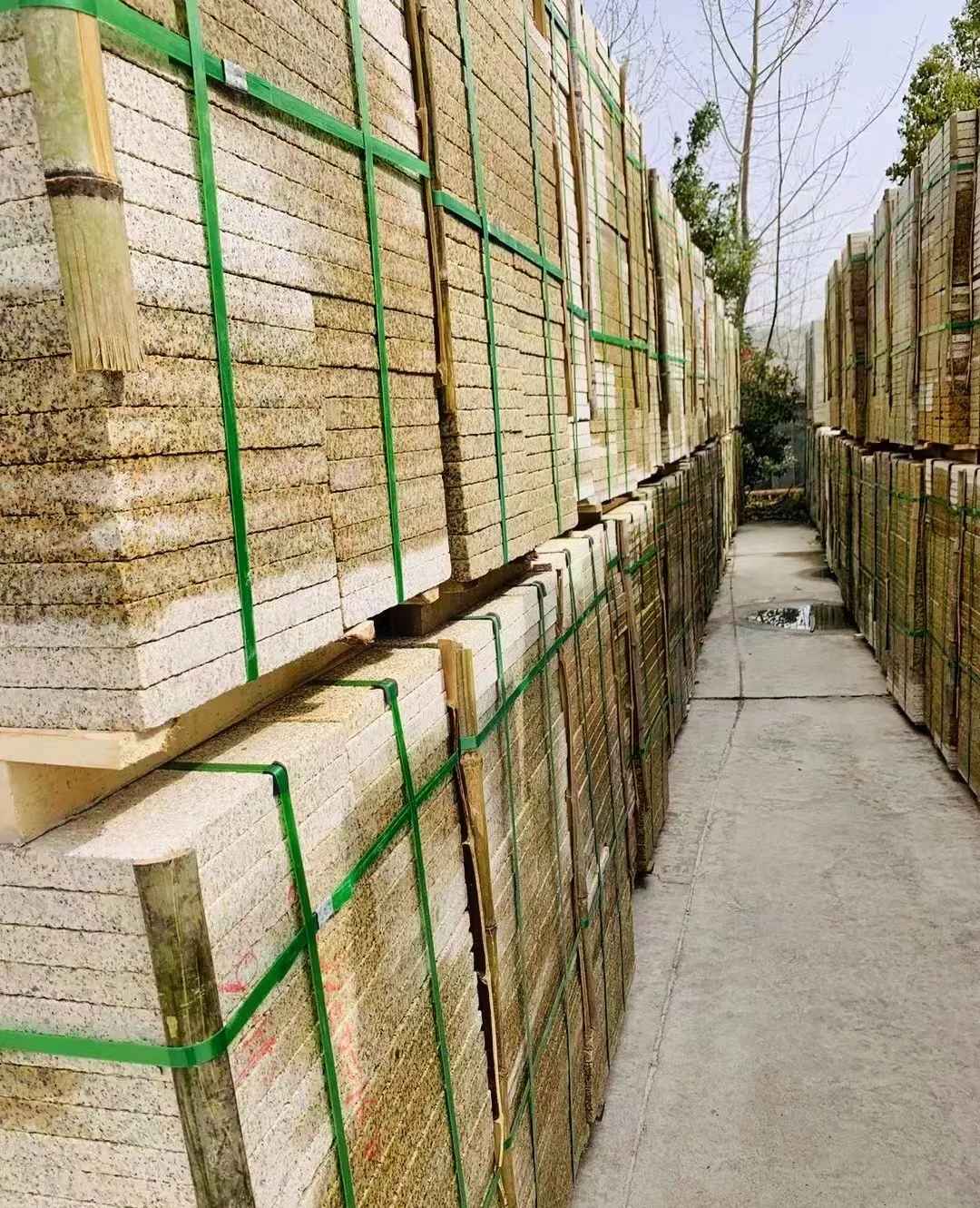 那曲 黄金麻花岗岩荔枝面地铺石